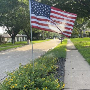 Single flag on lot