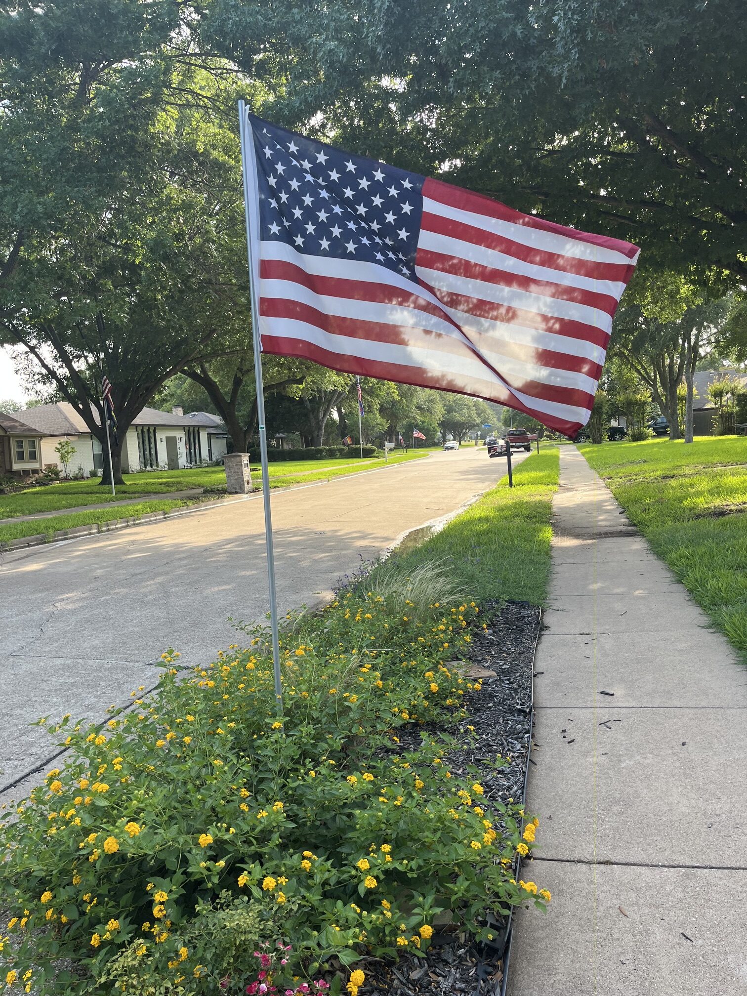 Single flag on lot